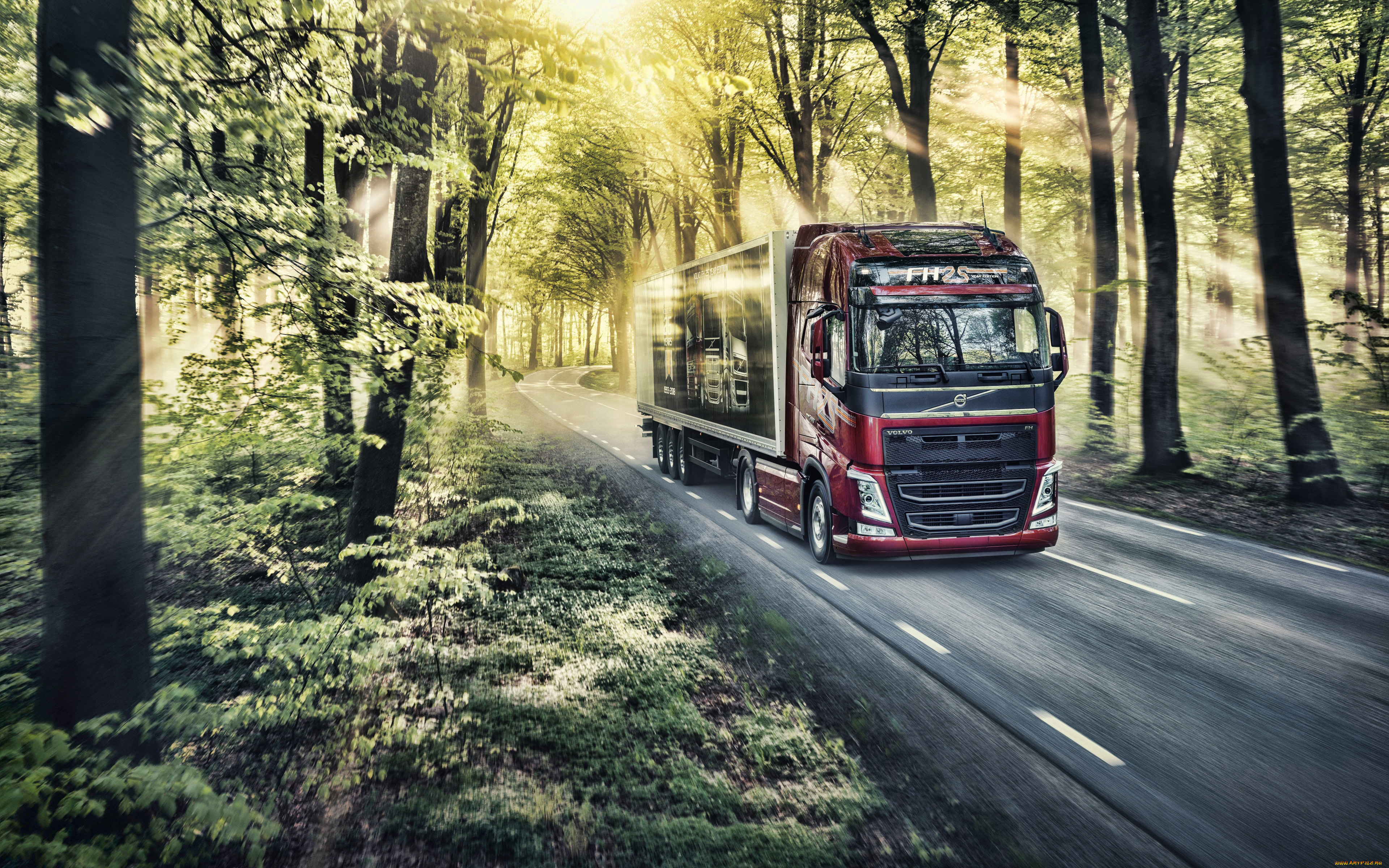 2019, volvo, fh, автомобили, volvo, trucks, вольво, грузовики, 2019, volvo, fh, lkw, hdr, лесная, дорога
