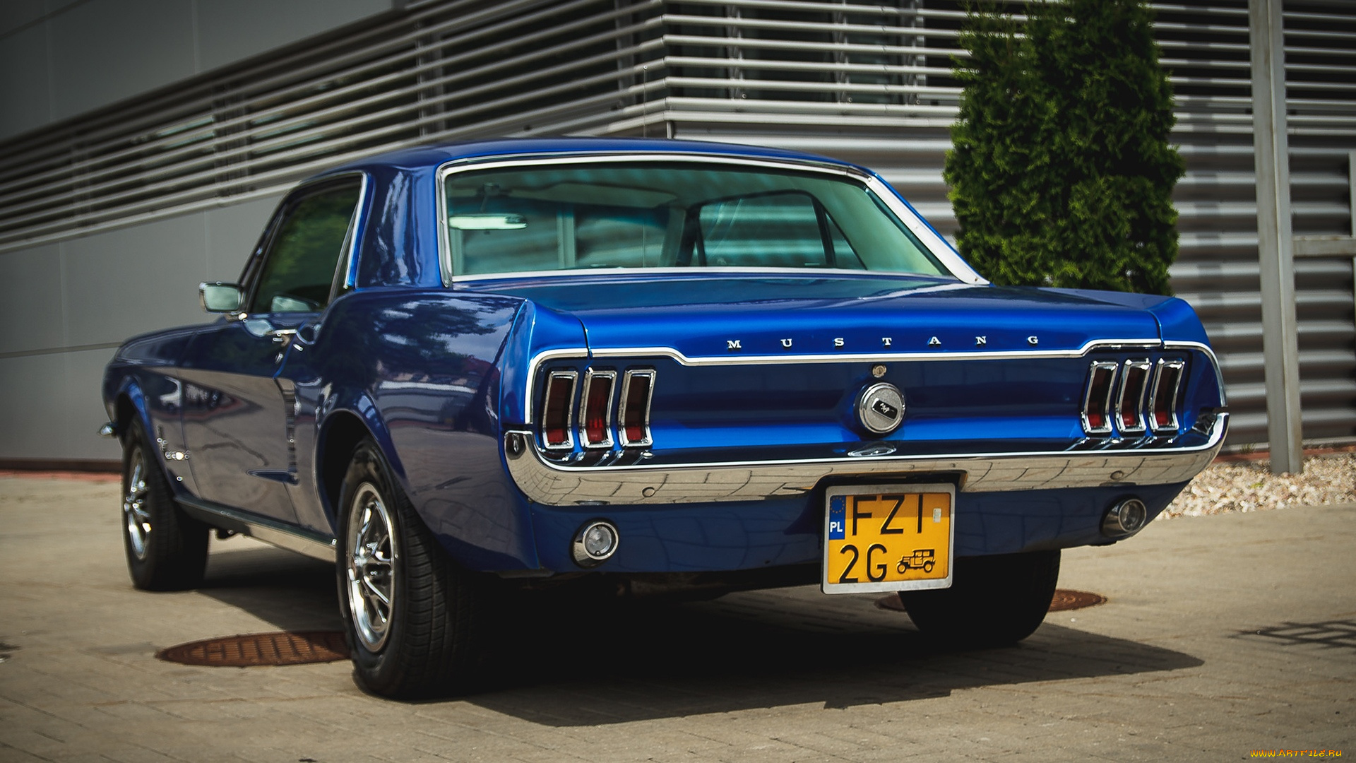 автомобили, mustang, ford