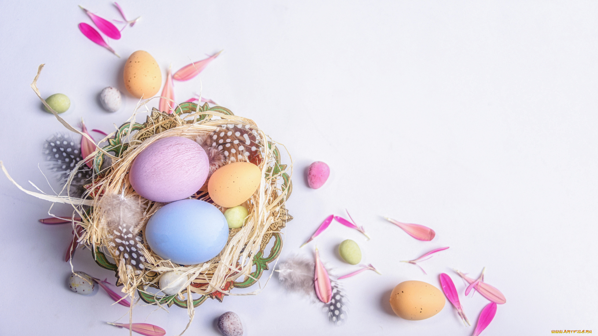 праздничные, пасха, праздник, весна, яйца, перья
