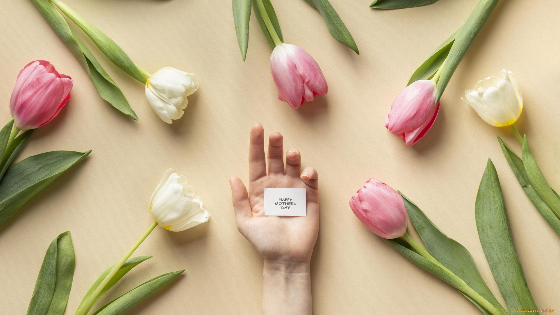 праздничные, день, матери, тюльпаны, рука, надпись, пожелание