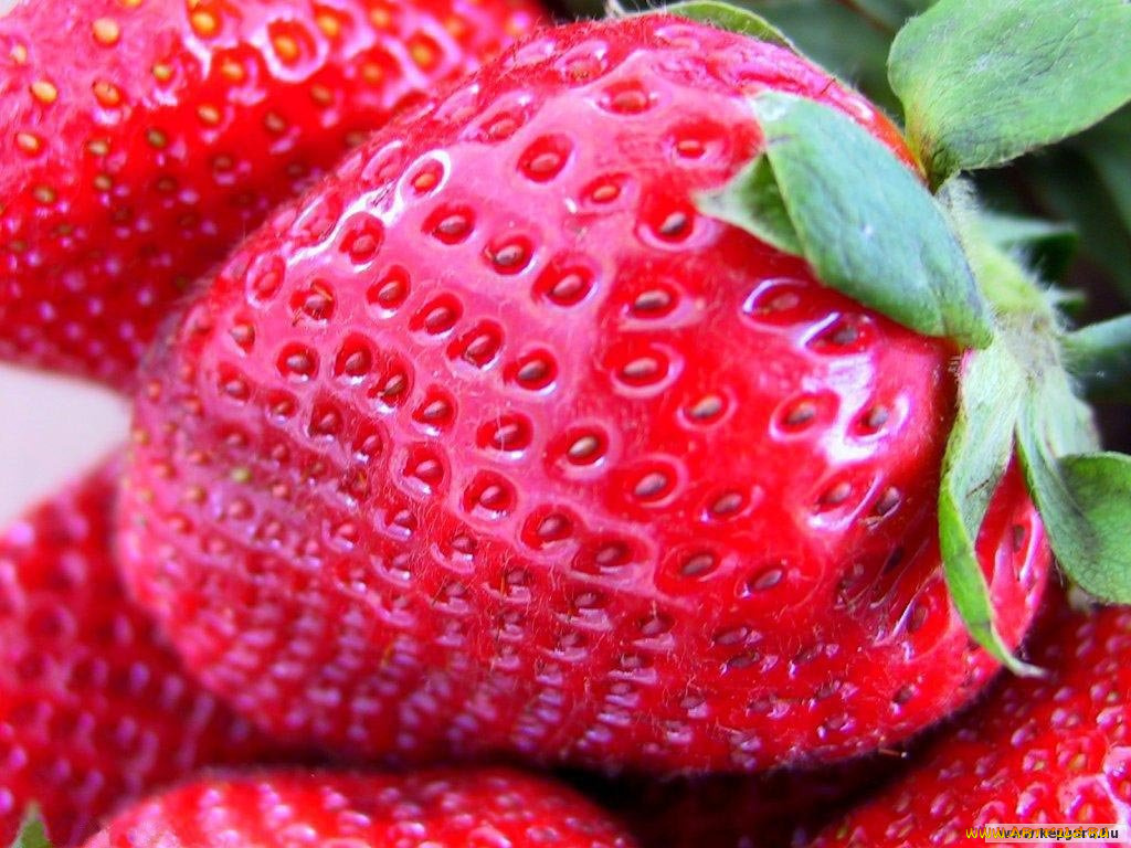 еда, клубника, земляника