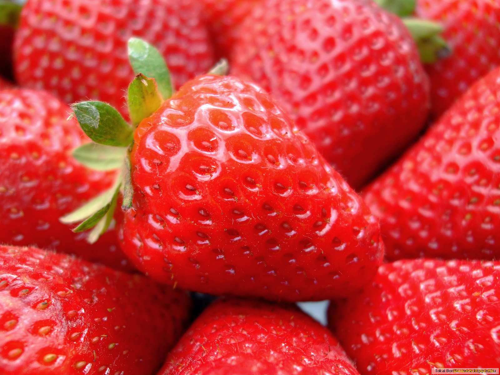 еда, клубника, земляника