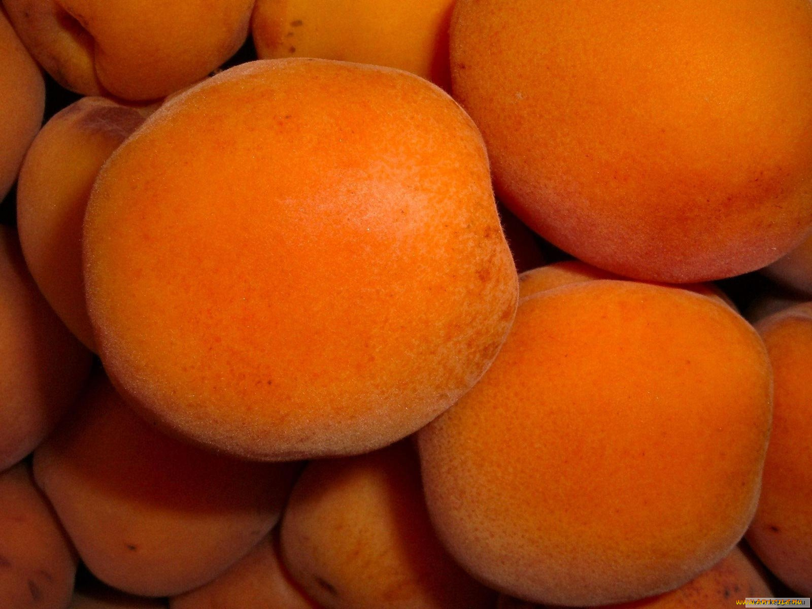 еда, персики, сливы, абрикосы