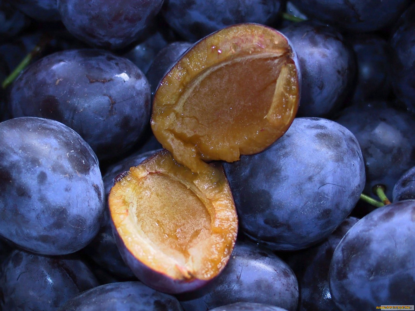 еда, персики, сливы, абрикосы