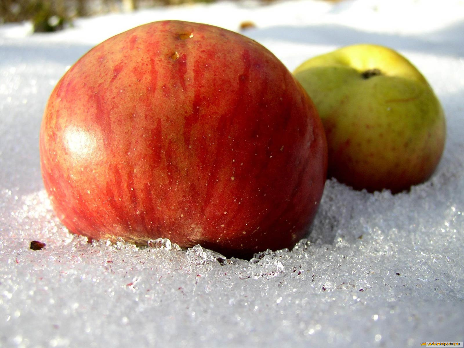 еда, Яблоки