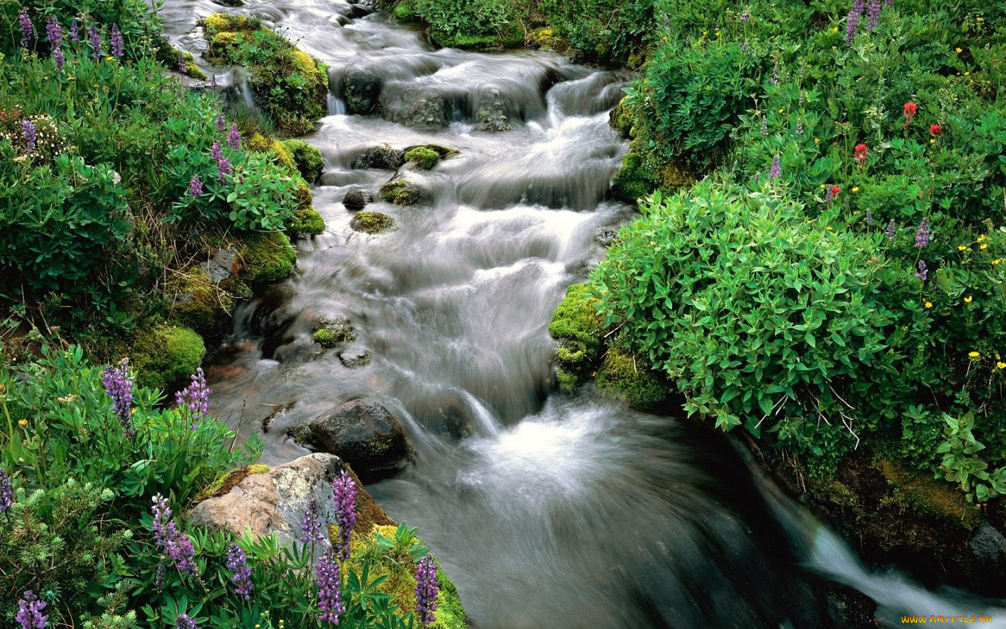 природа, реки, озера