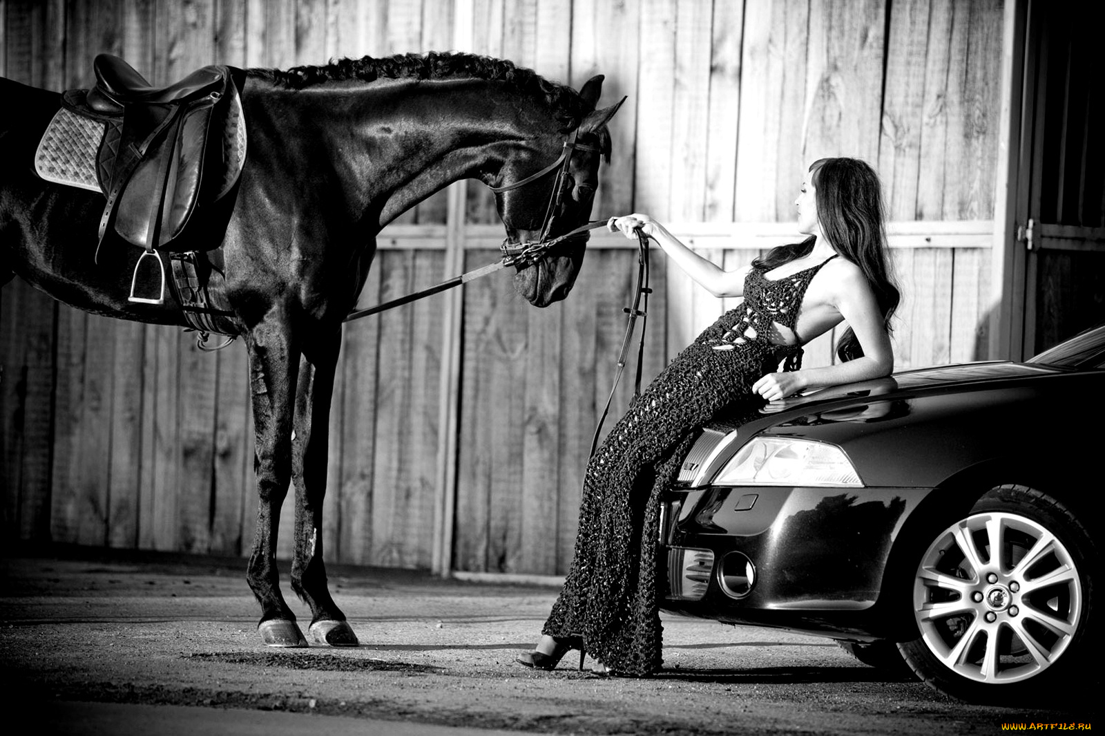 автомобили, авто, девушками