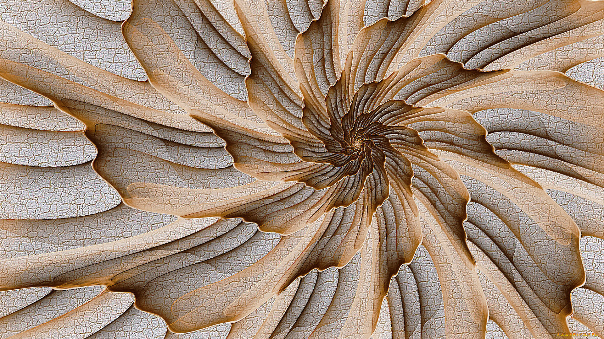 3д, графика, fractal, фракталы, фон, узор, цвета