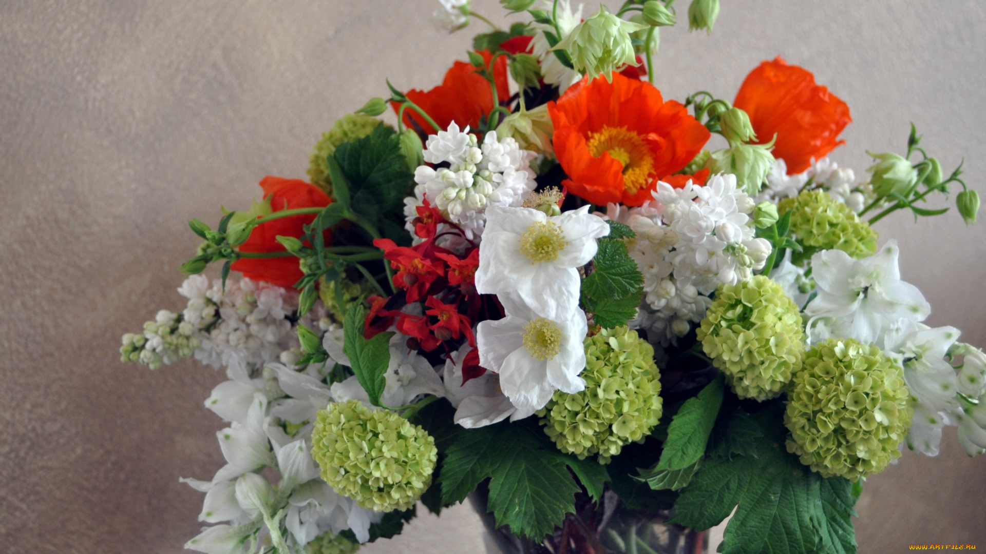 цветы, букеты, композиции, гортензия, левкой, анемоны