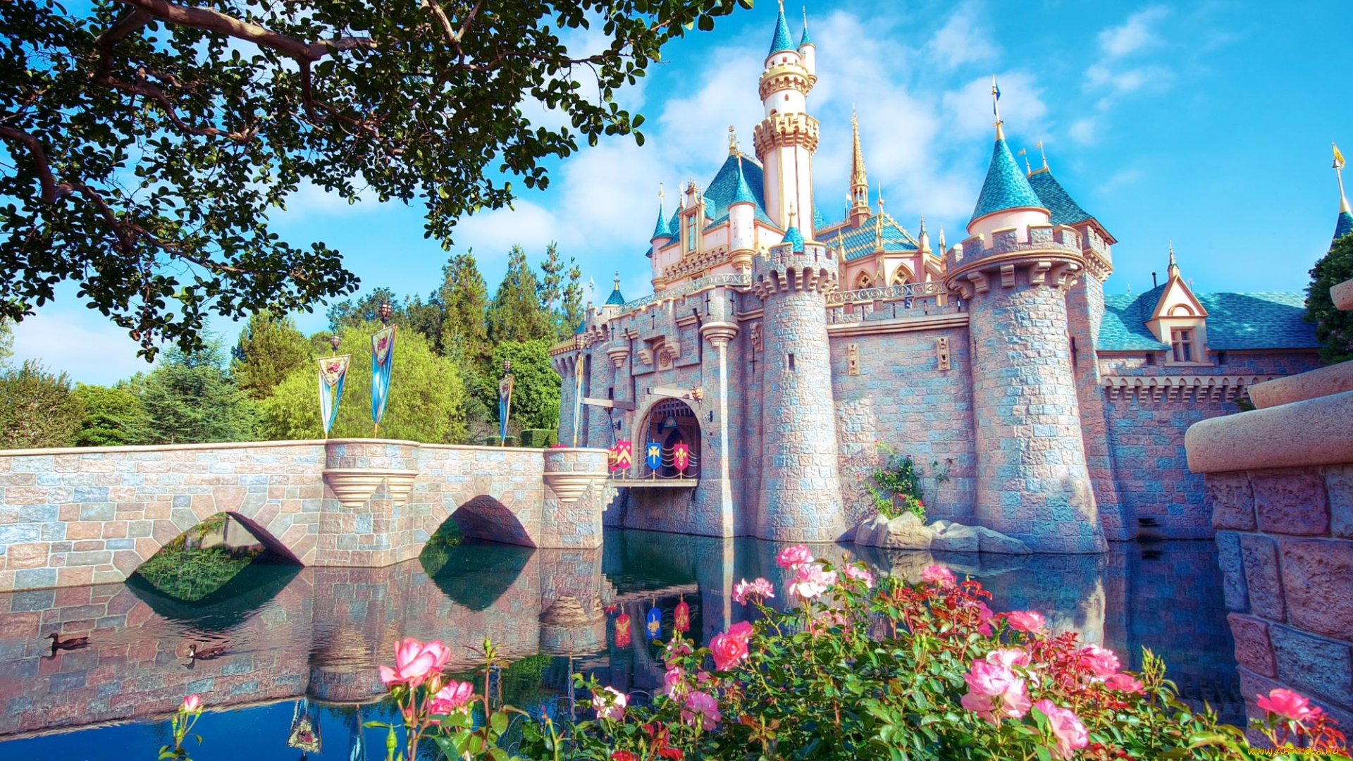 города, диснейленд, башни, замок, спящей, красавицы
