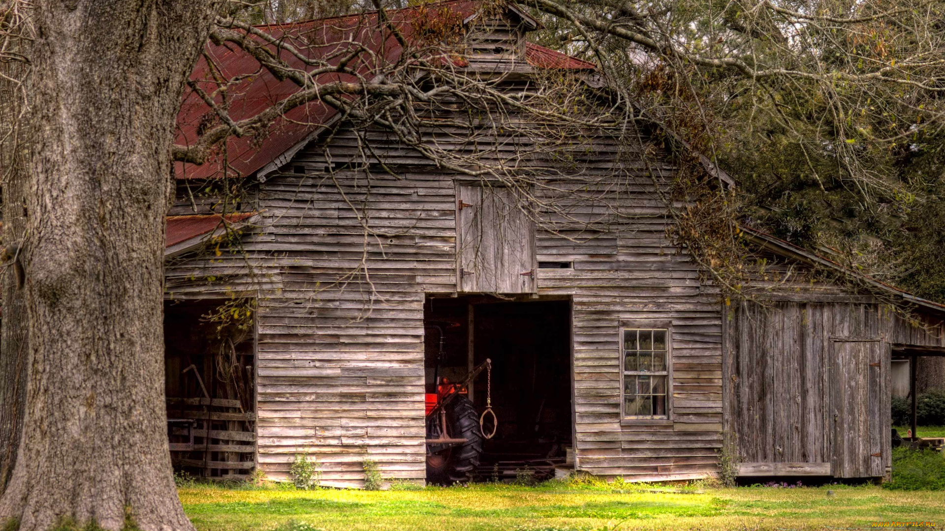 разное, сооружения, постройки, сарай, дерево