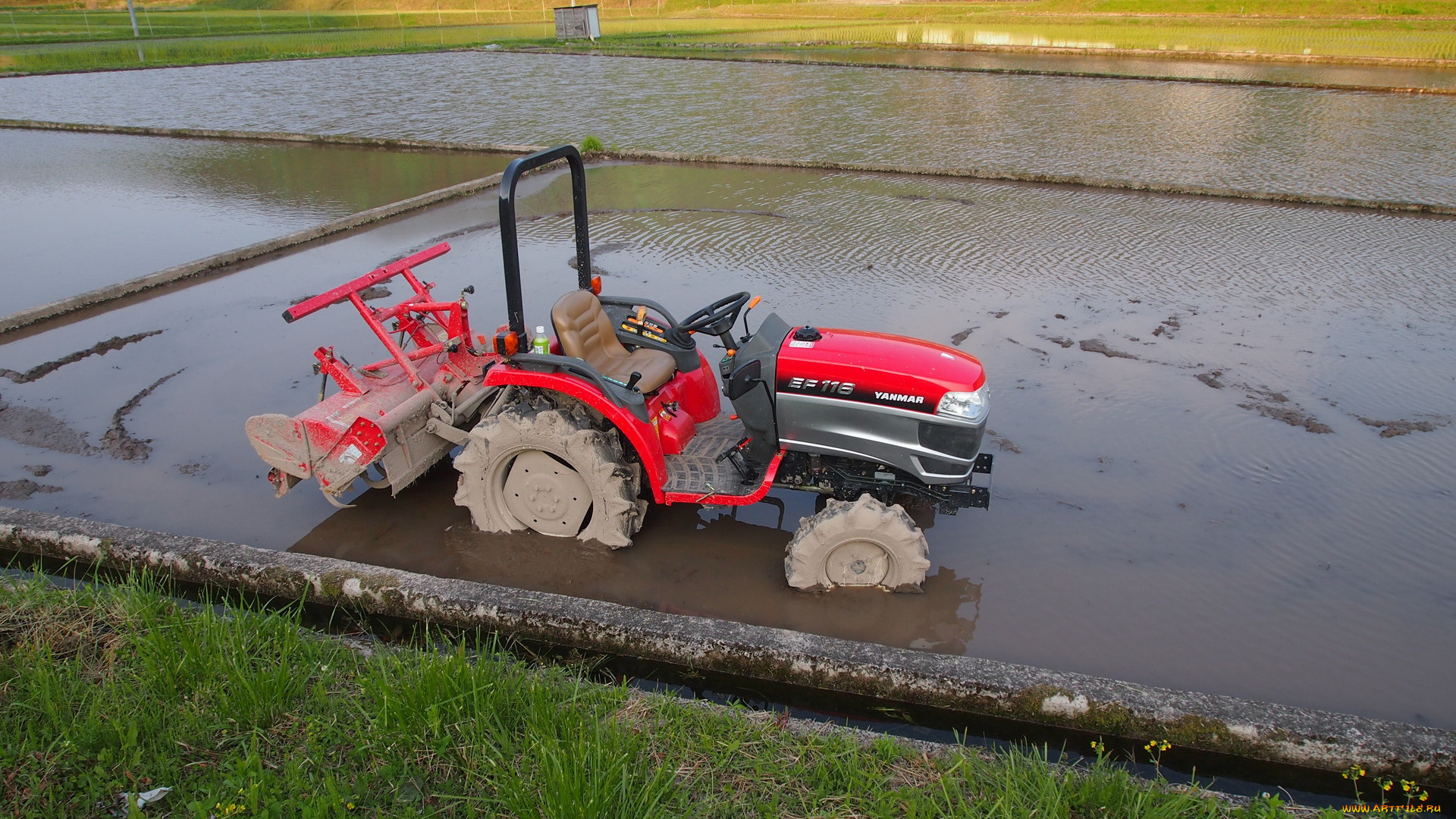 техника, тракторы, трактор