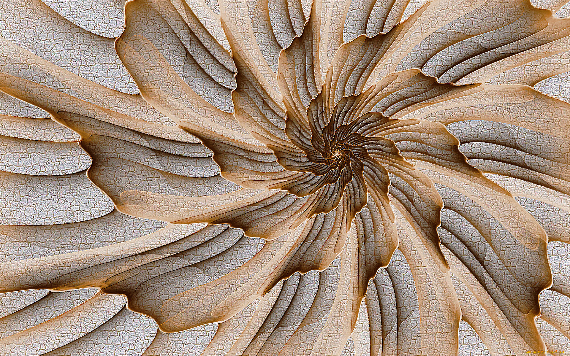 3д, графика, fractal, фракталы, фон, узор, цвета