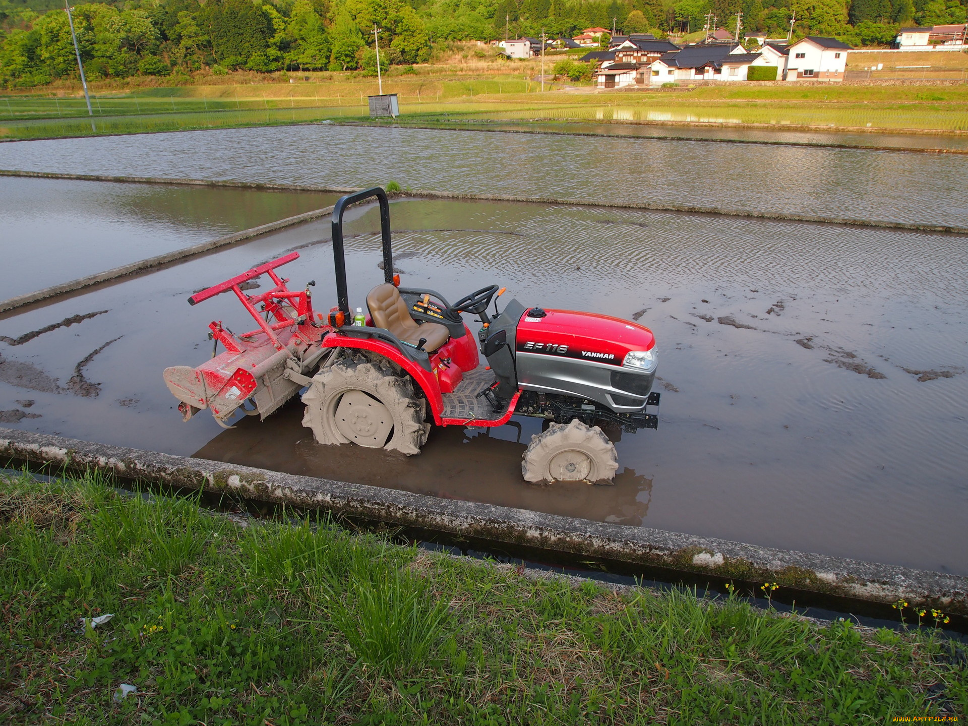 техника, тракторы, трактор