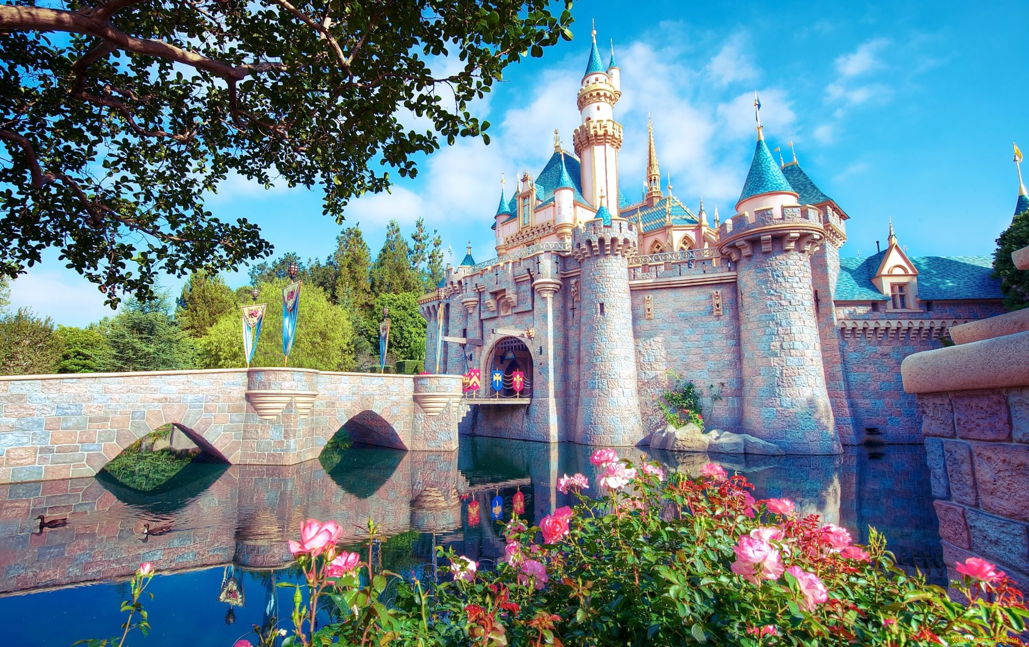 города, диснейленд, башни, замок, спящей, красавицы