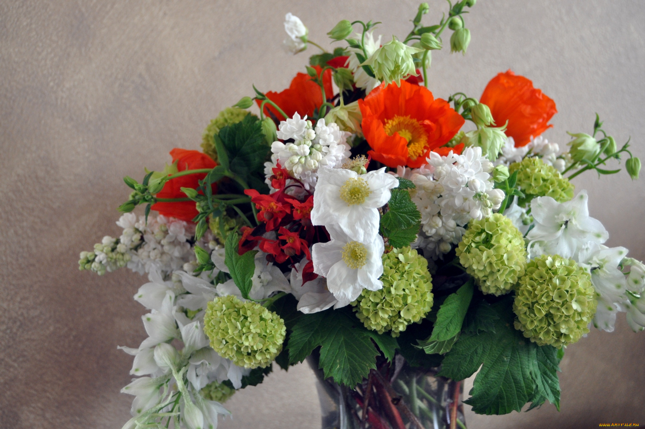 цветы, букеты, композиции, гортензия, левкой, анемоны