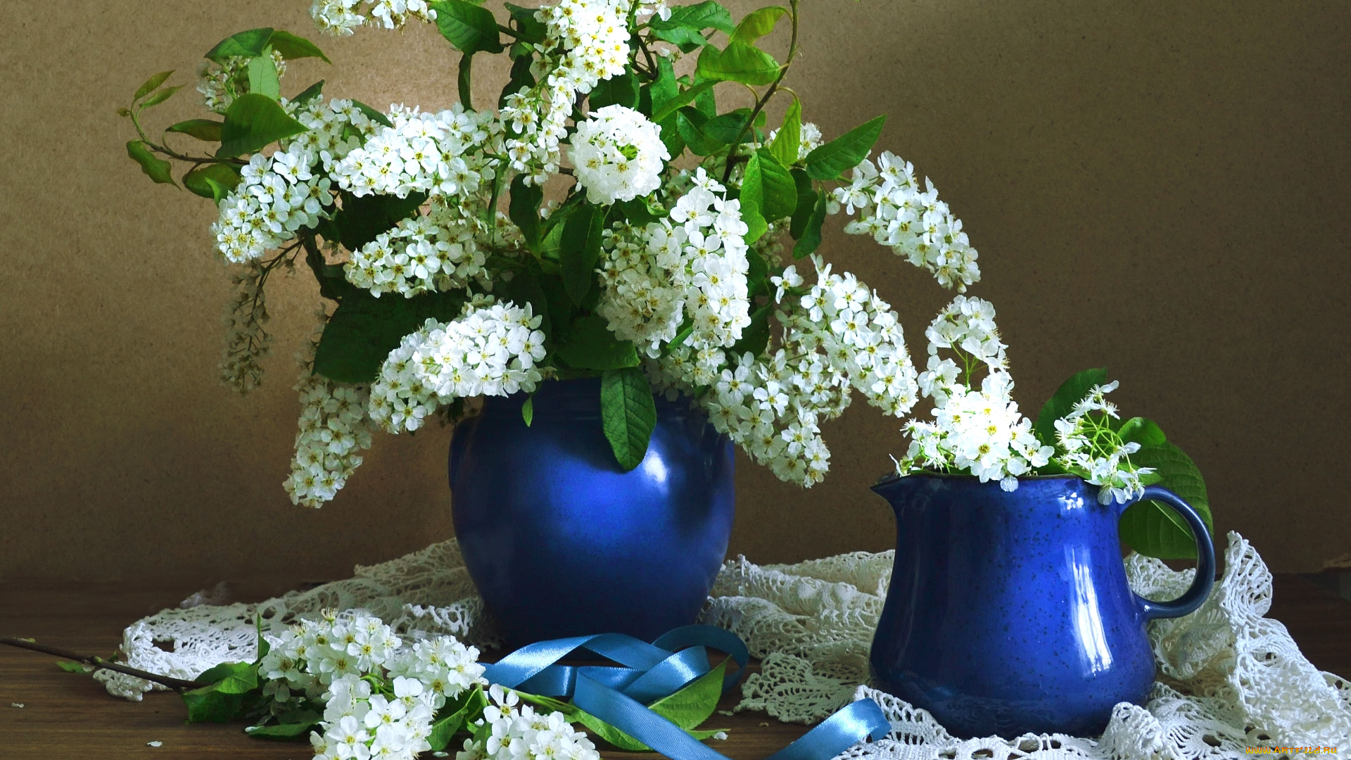 цветы, цветущие, деревья, , , кустарники, черемуха