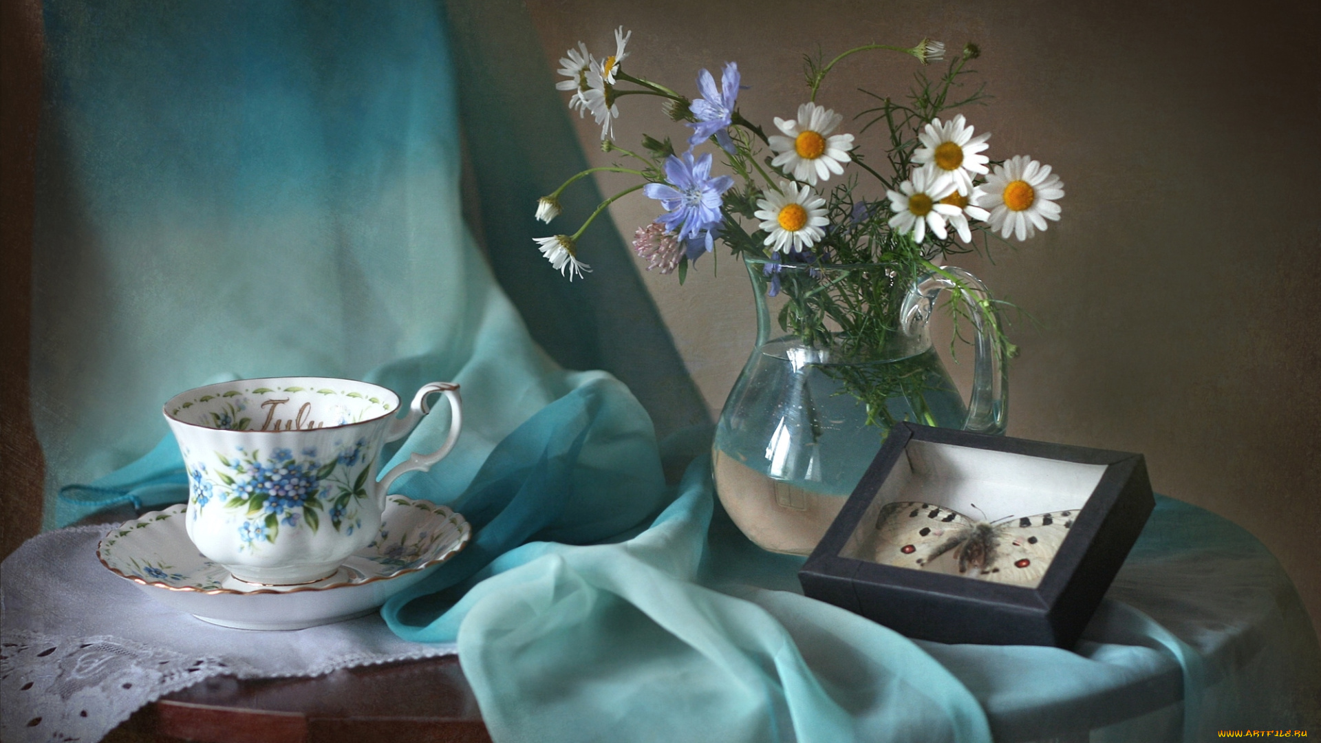 цветы, луговые, , полевые, , цветы, бабочка, цикорий, ромашка, чашка