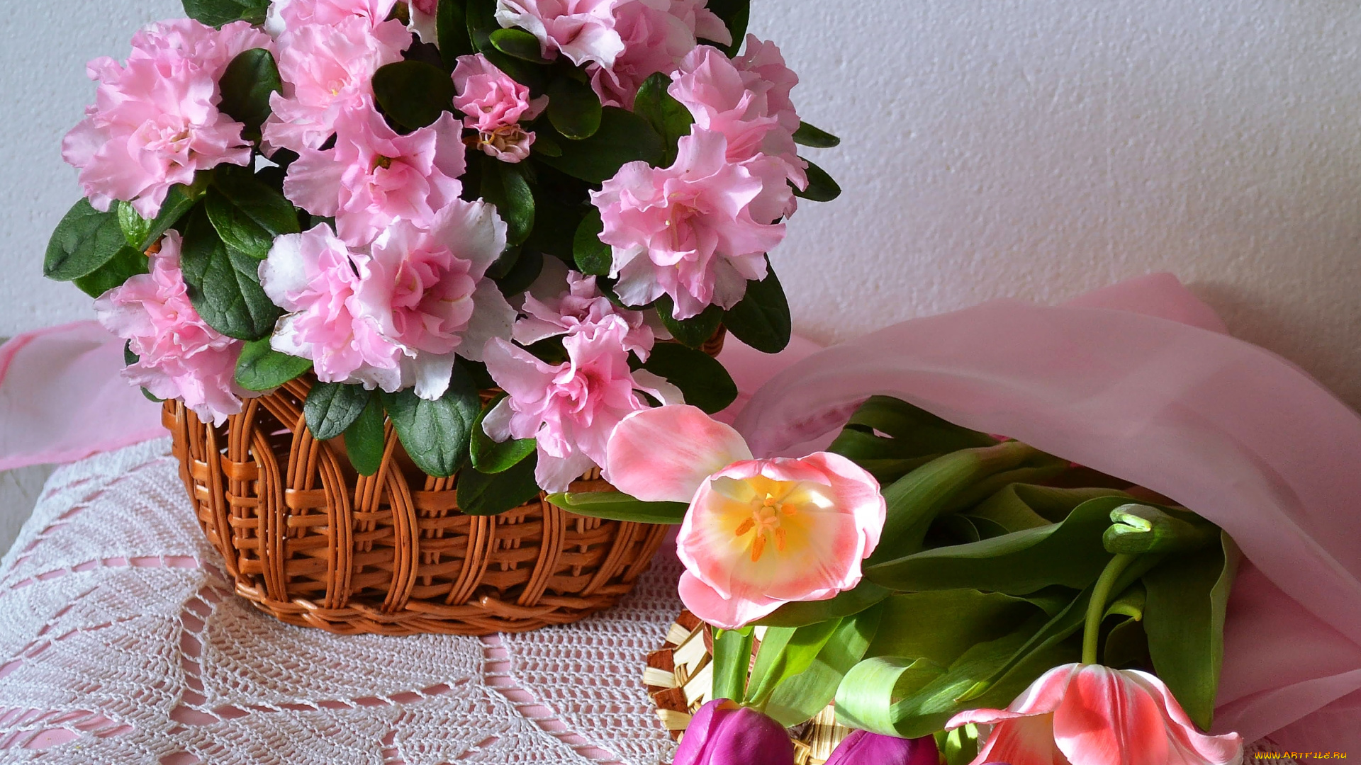 цветы, разные, вместе, азалия, тюльпаны