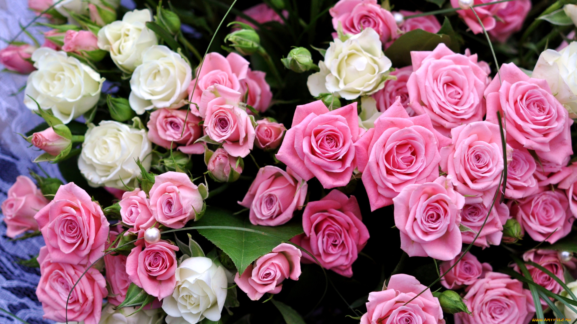 цветы, розы, букет