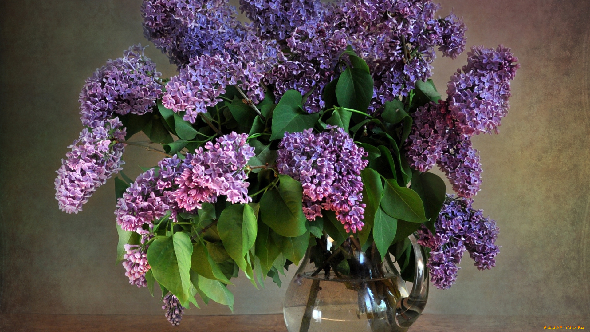 цветы, сирень, букет