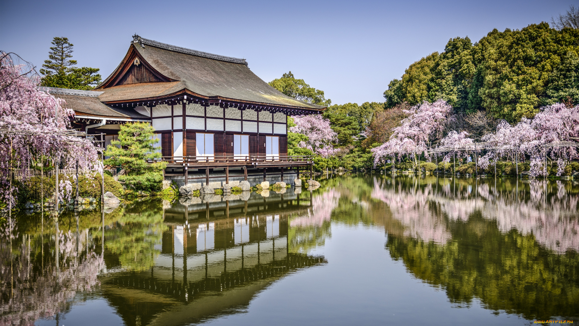 heian, jingu, -, kyoto, , japan, города, -, буддийские, и, другие, храмы, отражение, сакура, деревья, парк, весна, водоём, japan, kyoto, heian, jingu, пруд, озеро, Япония, киото, храм, хэйан