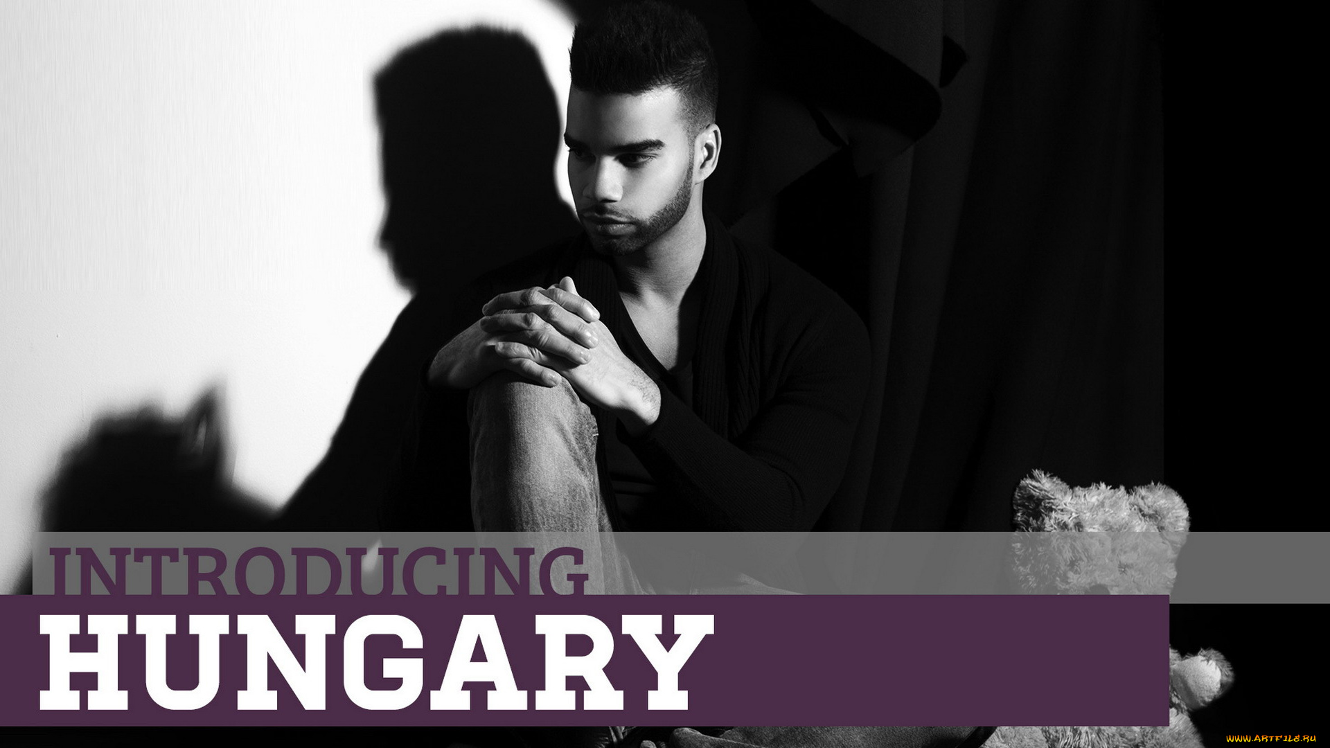 музыка, евровидение, медведь, мишка, игрушка, тень, певец, черно-белая, венгрия