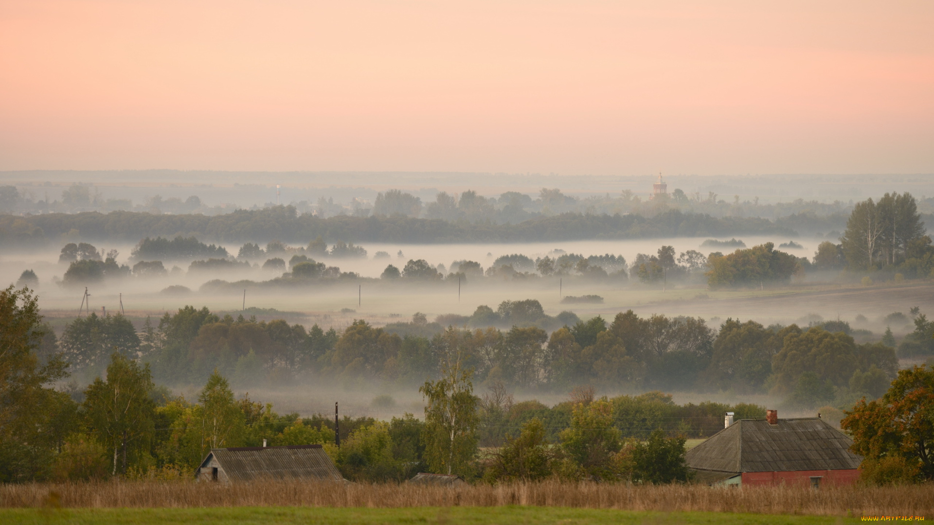 природа, пейзажи, туман, утро