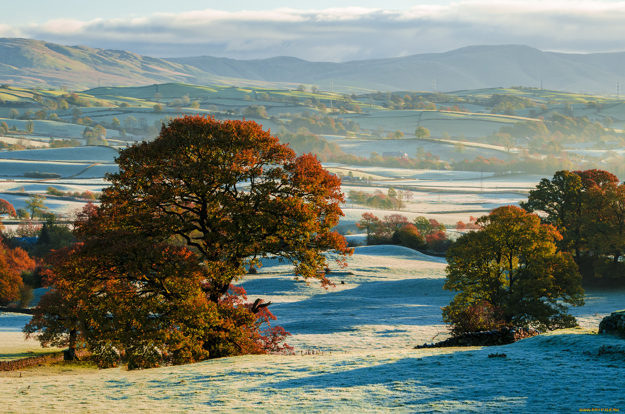 природа, пейзажи, холмы, деревья, поля, иней, снег, осень
