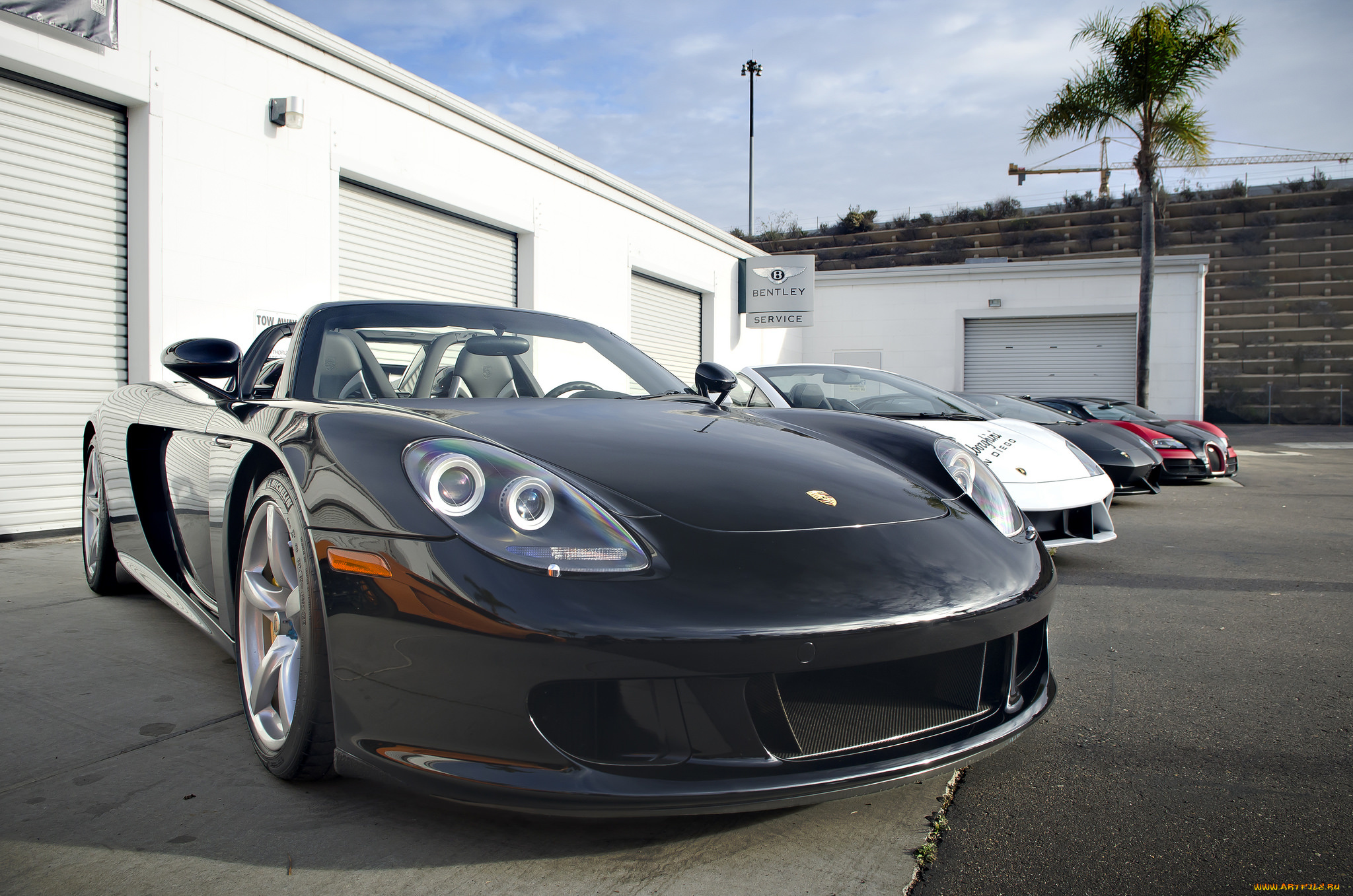 porsche, carrera, gt, автомобили, выставки, и, уличные, фото, спортивный, германия