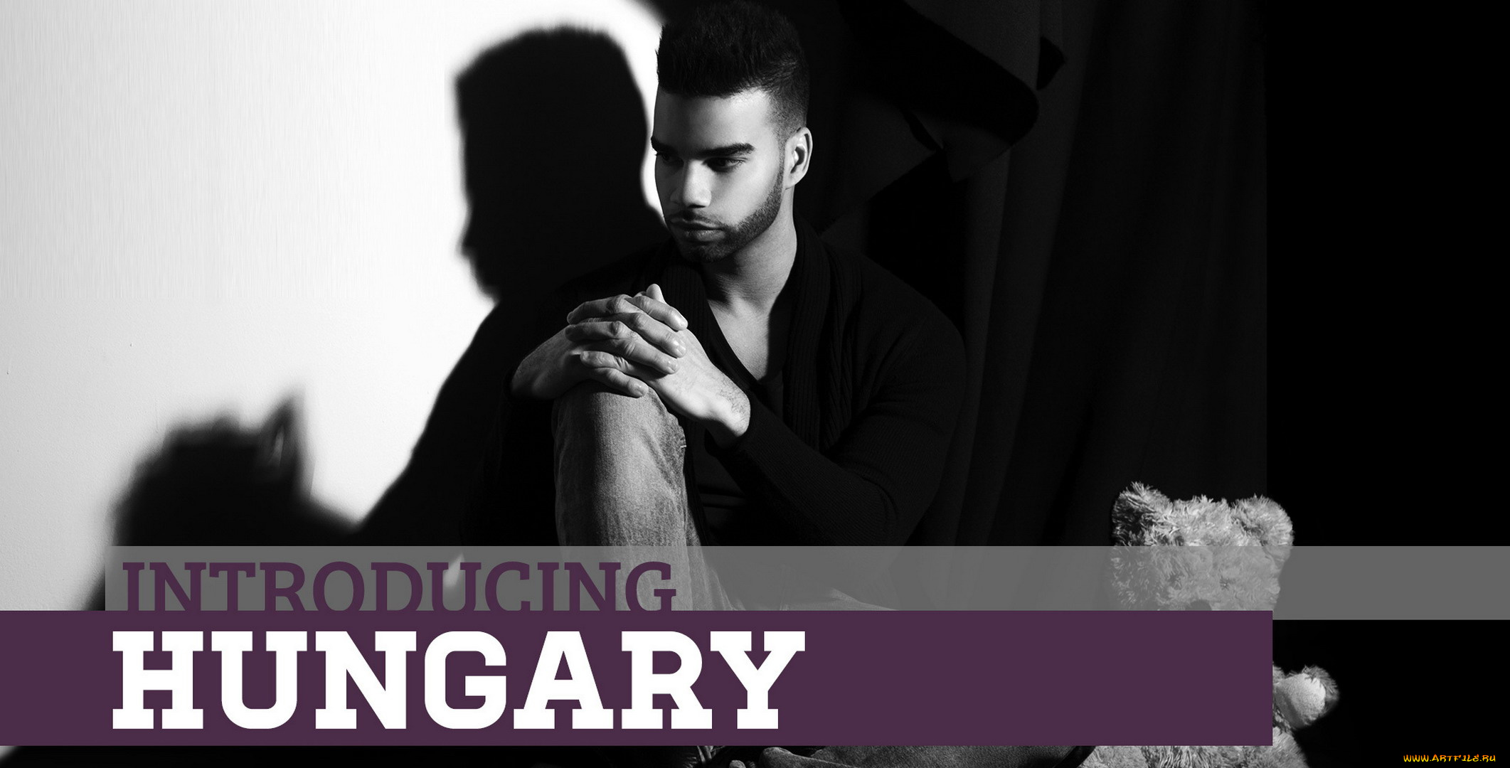 музыка, евровидение, медведь, мишка, игрушка, тень, певец, черно-белая, венгрия