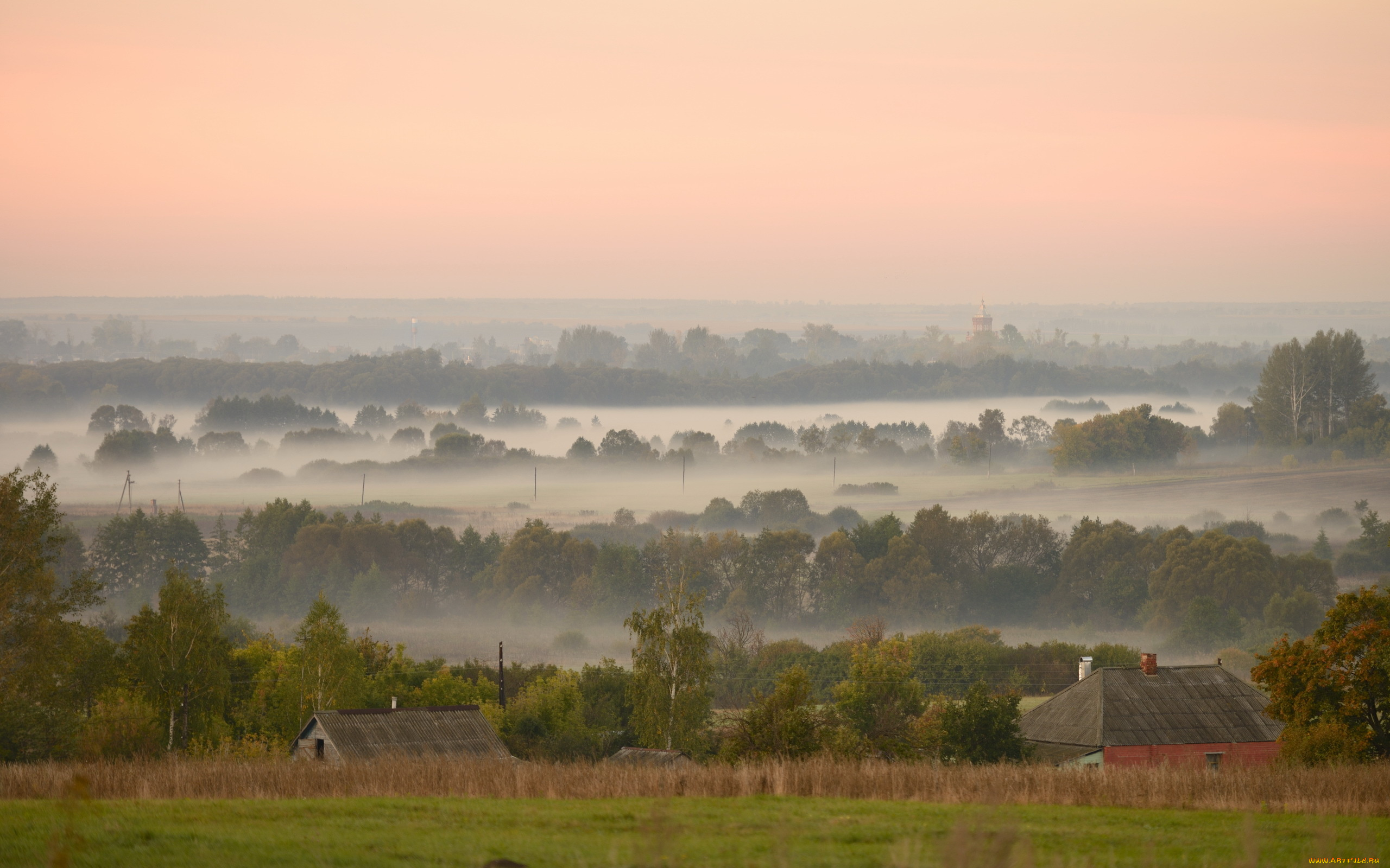 природа, пейзажи, туман, утро