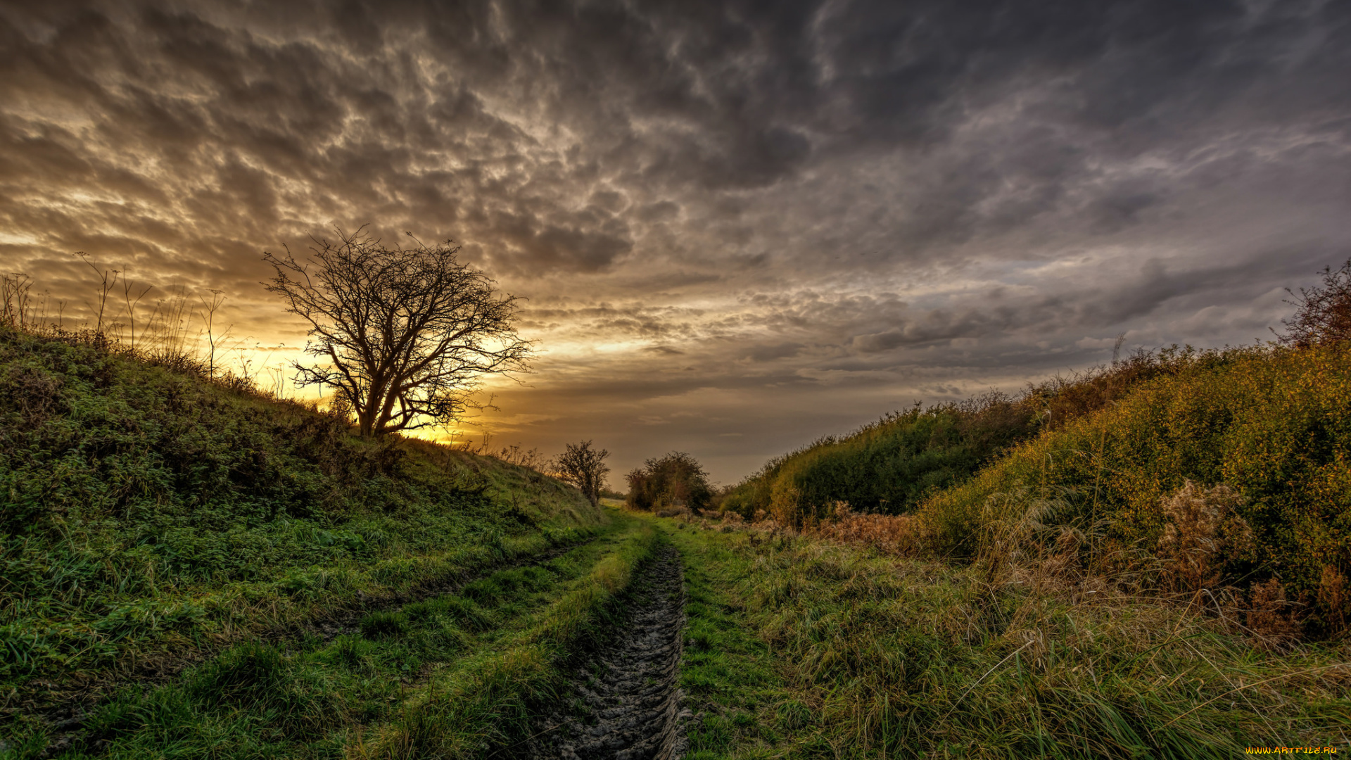 природа, дороги, холм, колея, свет, тучи