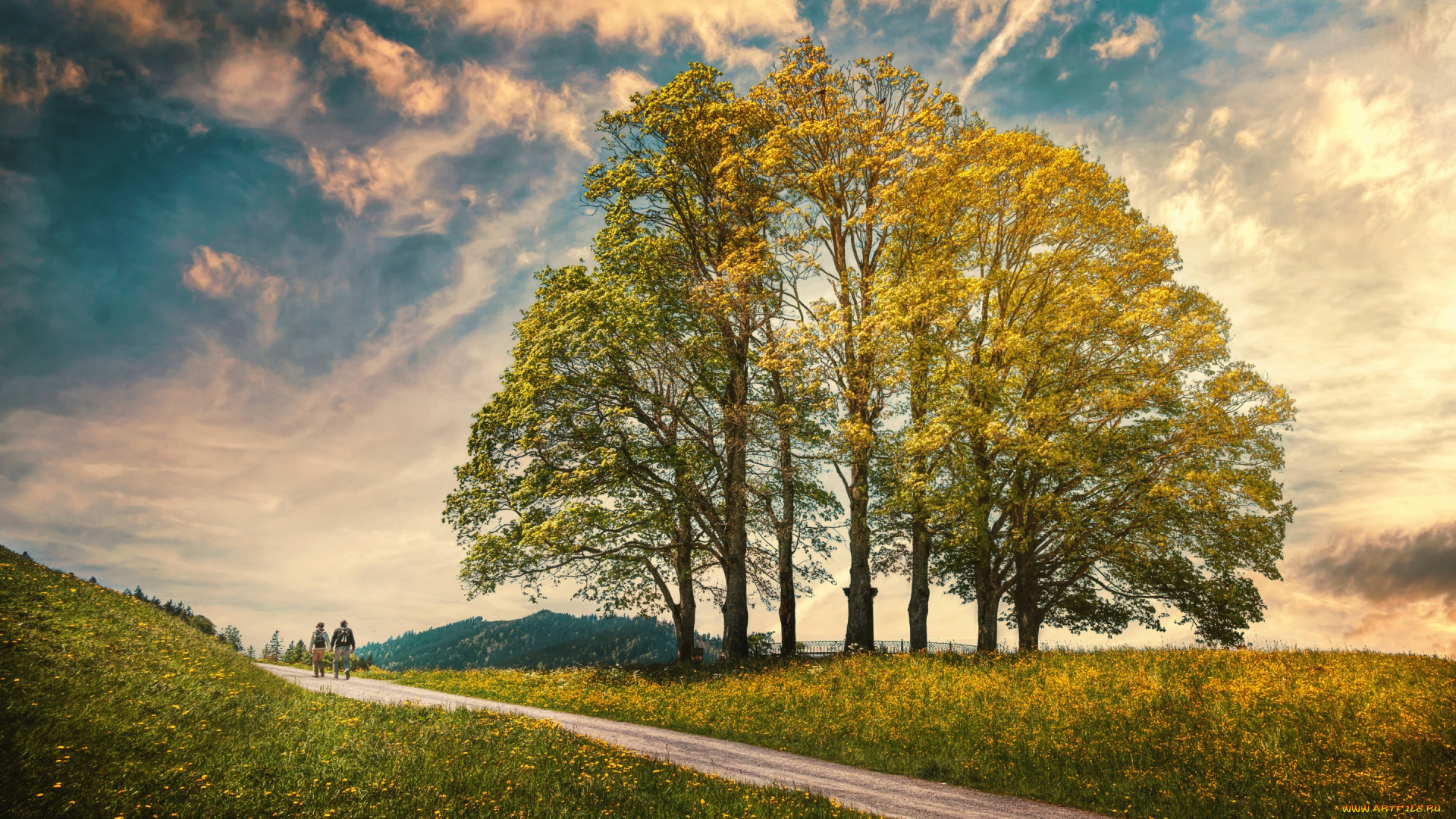 природа, дороги, обработка, облака, небо, деревья