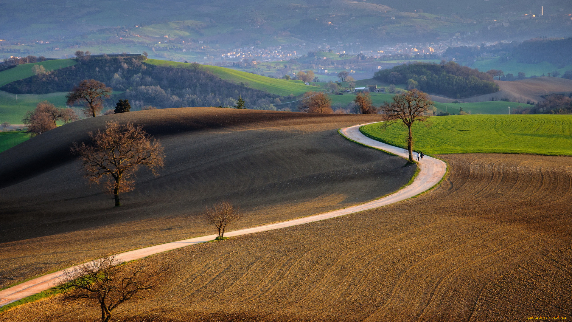 природа, дороги, поле