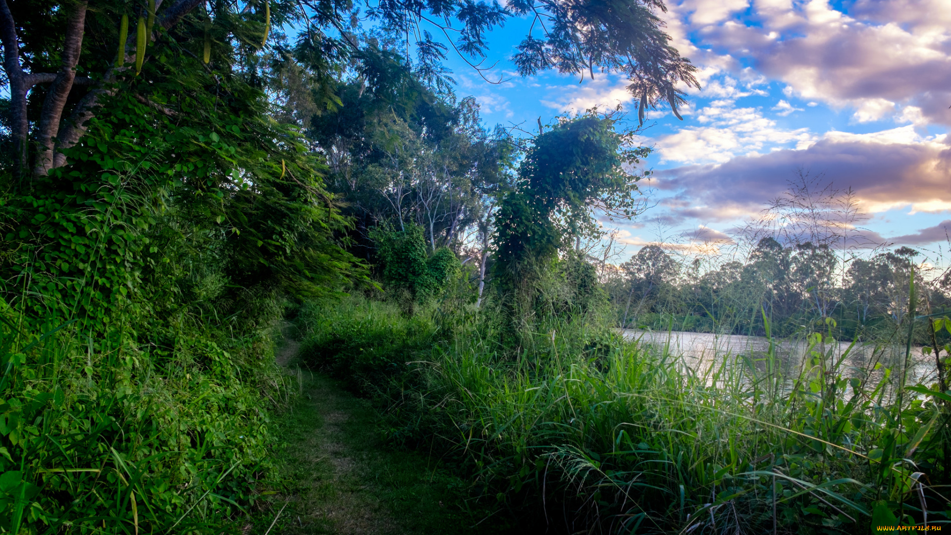 природа, дороги, тропинка, река, небо, деревья