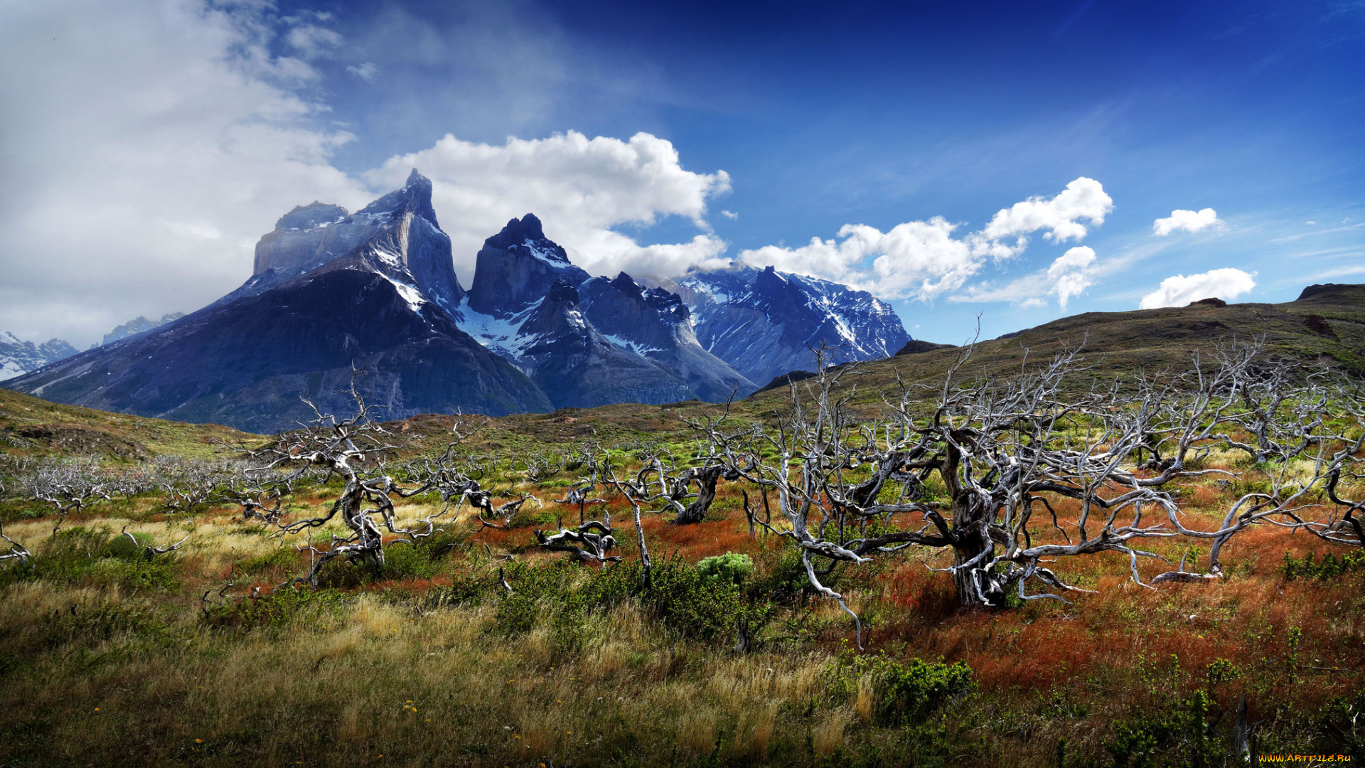 природа, горы, вершины, долина, деревья