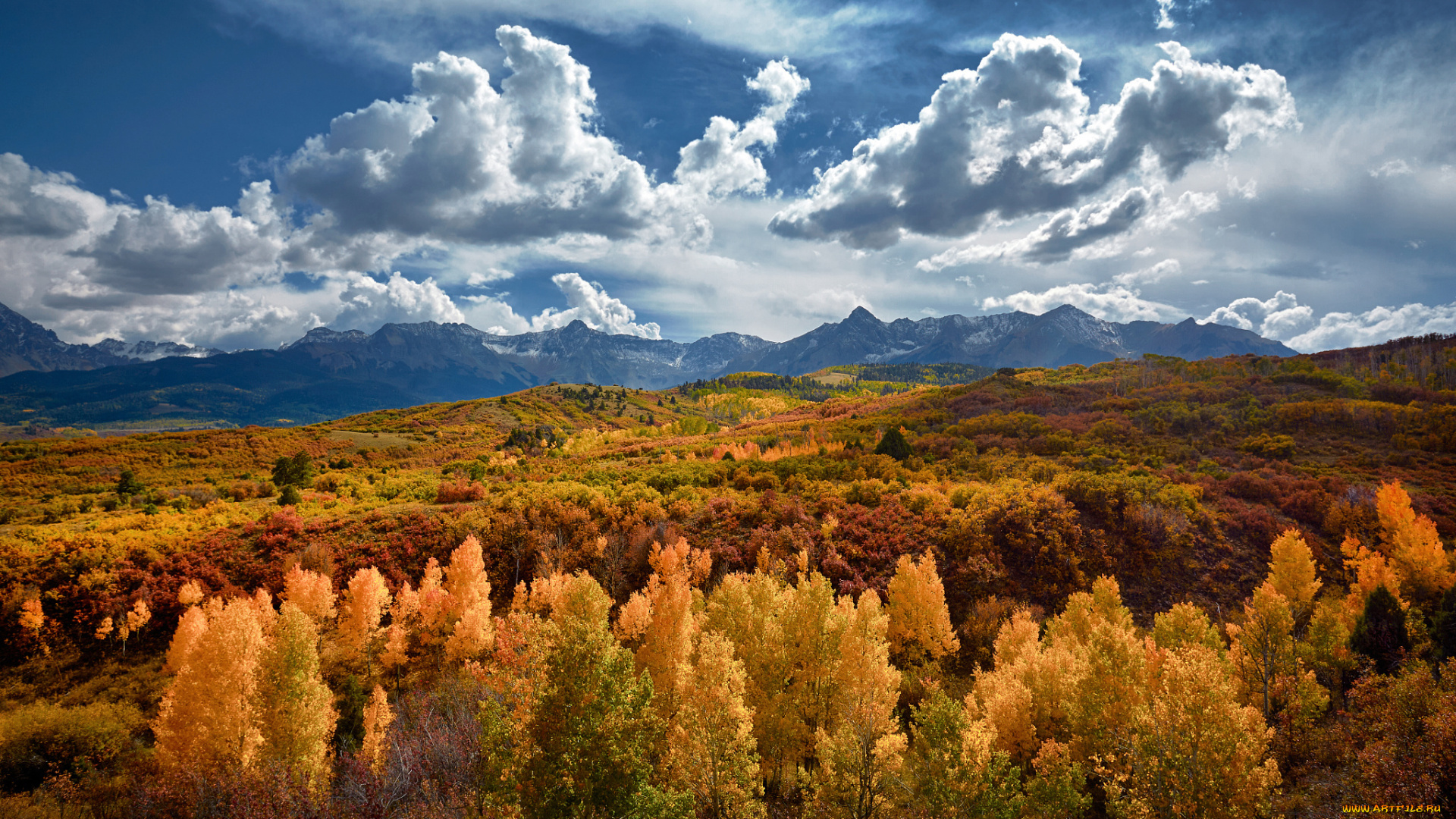природа, лес, сша, штат, колорадо, горы, осень, золотой