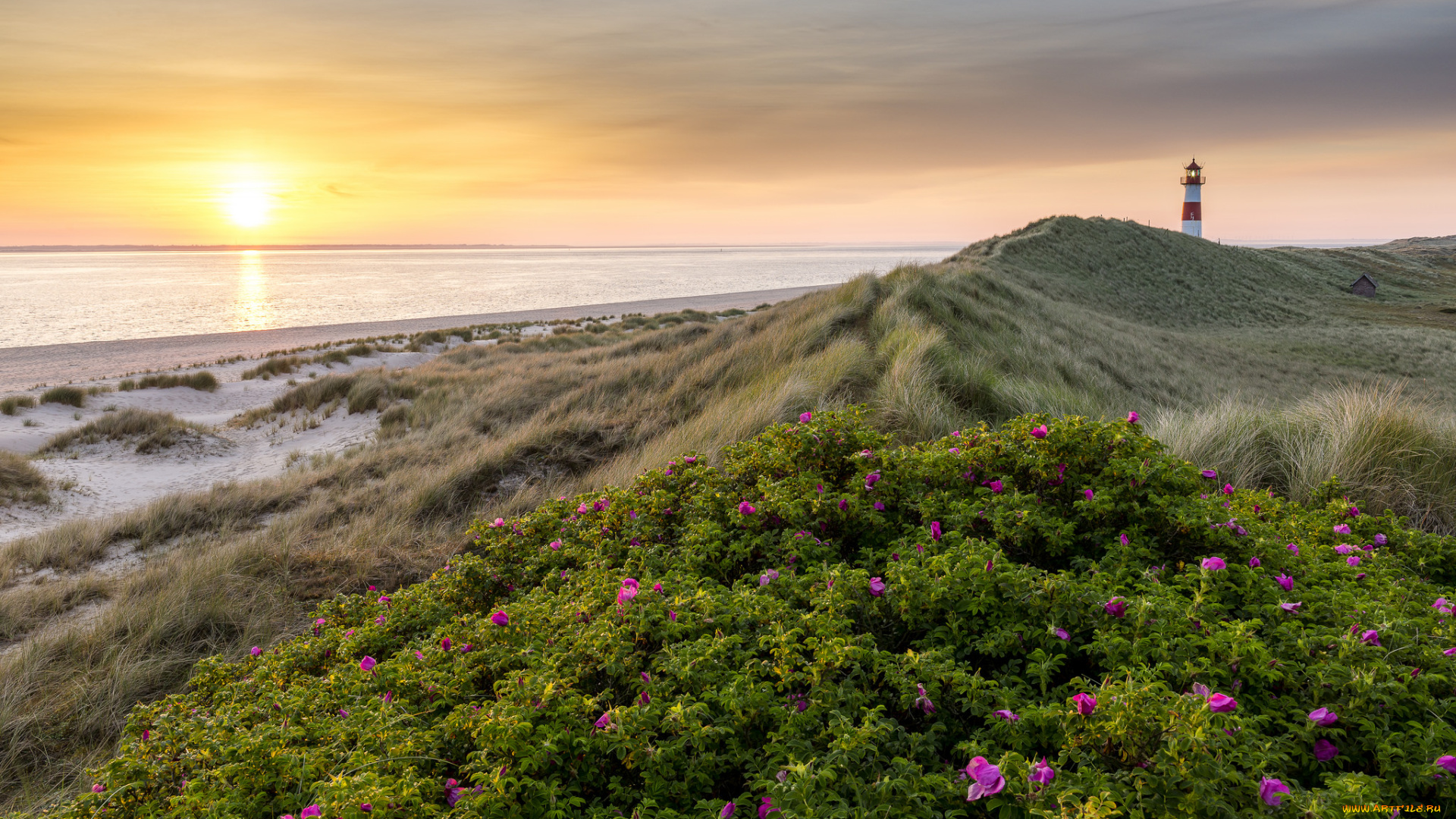 природа, маяки, рассвет