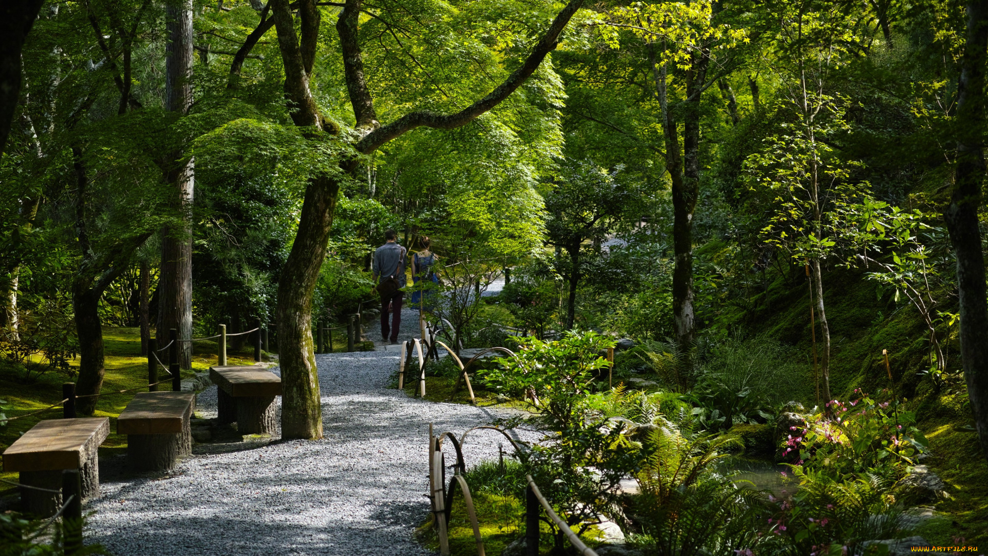 природа, парк, лавочки, прогулка, деревья, дорожка
