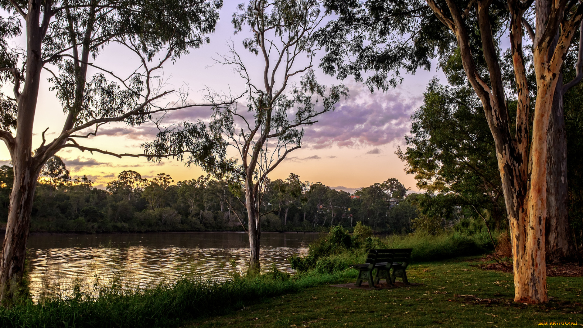 природа, парк, небо, деревья