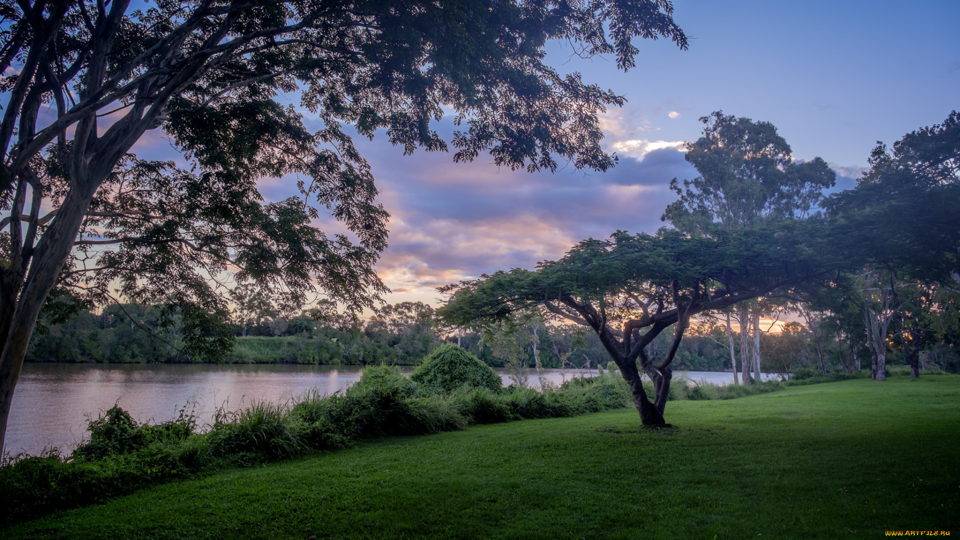 природа, парк, вечер, небо, облака, деревья