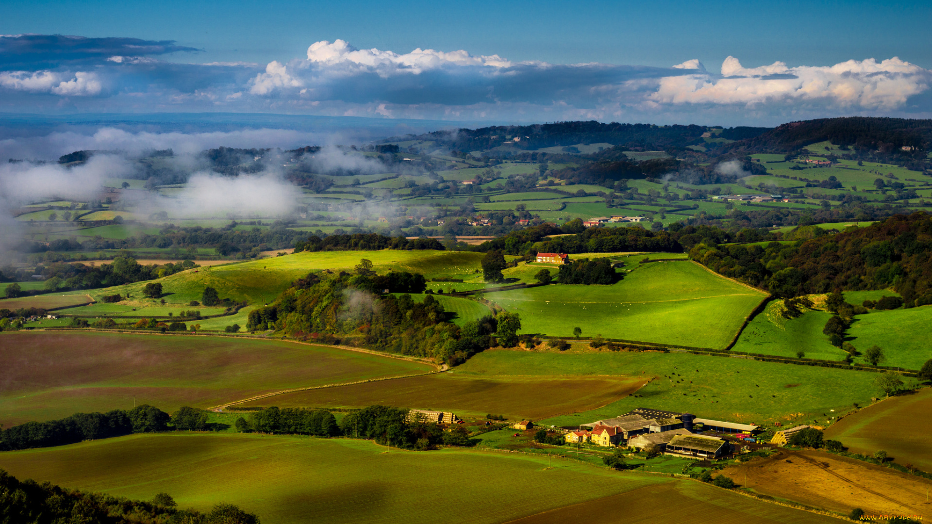 природа, поля, деревья, вид, сверху