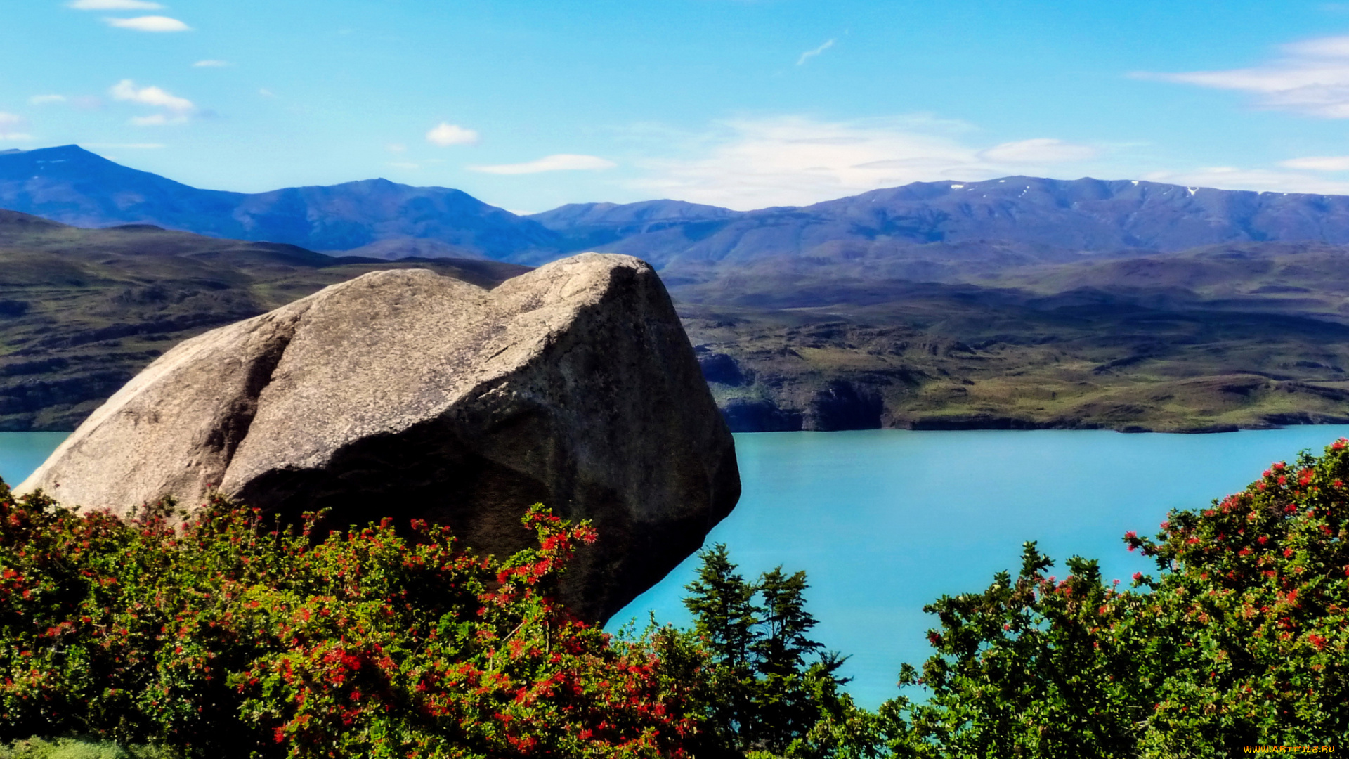 природа, реки, озера, аргентина, patagonia, река, берег, камень, кусты