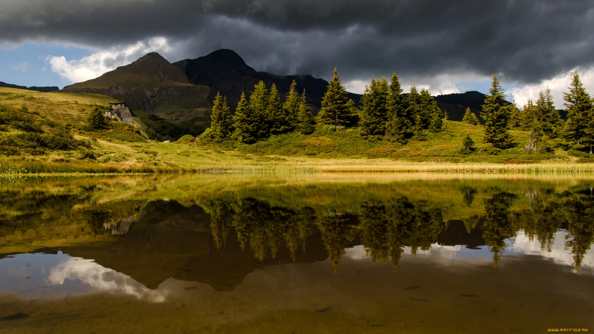природа, реки, озера, берег, горы, река, rosenlaui, швейцария, отражение, вода, пасмурно, тучи, деревья
