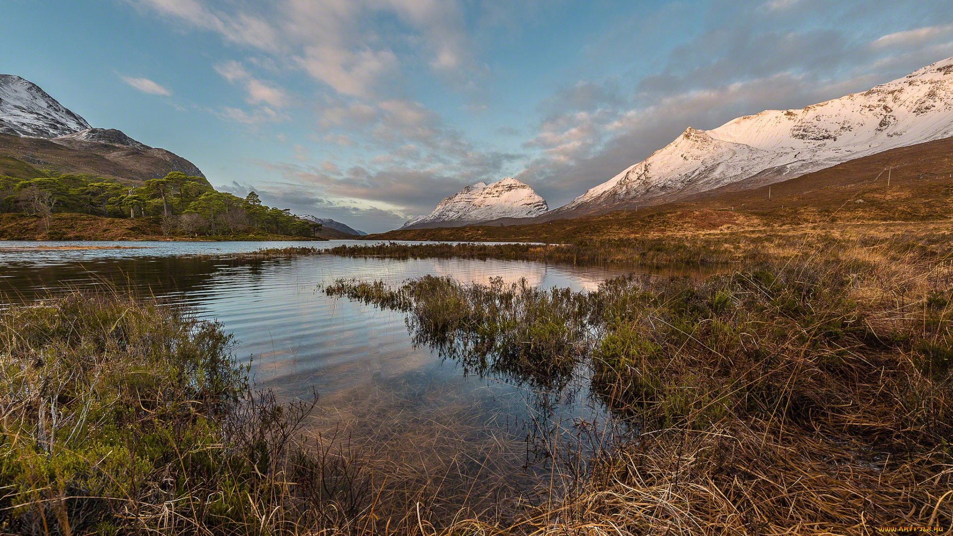 природа, реки, озера, горы, лес, река