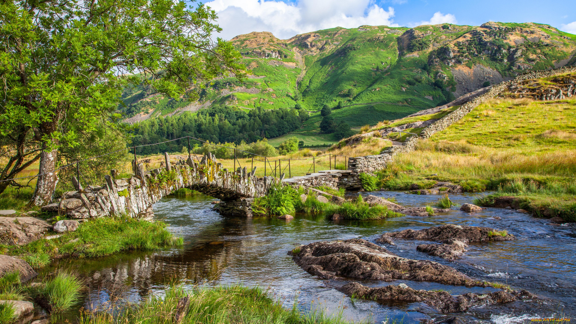 природа, реки, озера, горы, лес, река, мост