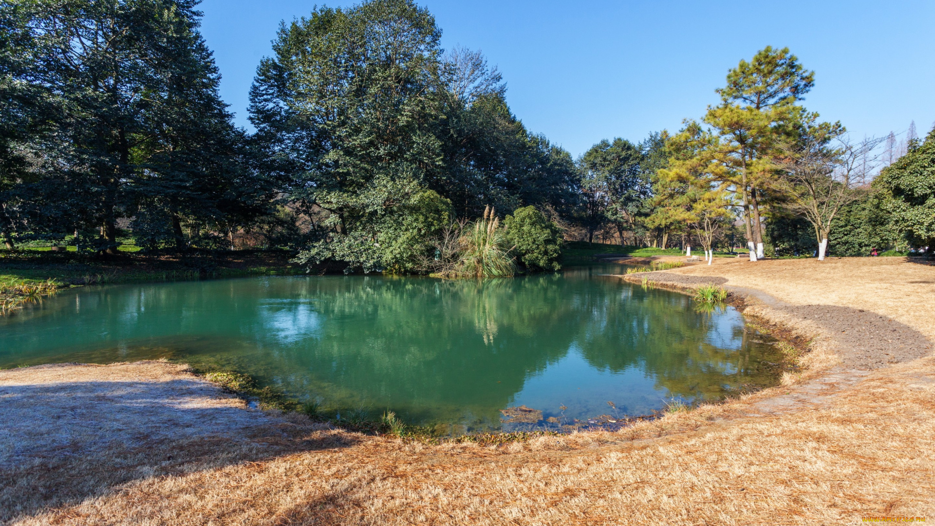 природа, реки, озера, hangzhou, китай, солнце, небо, деревья, пруд, парк, zhejiang