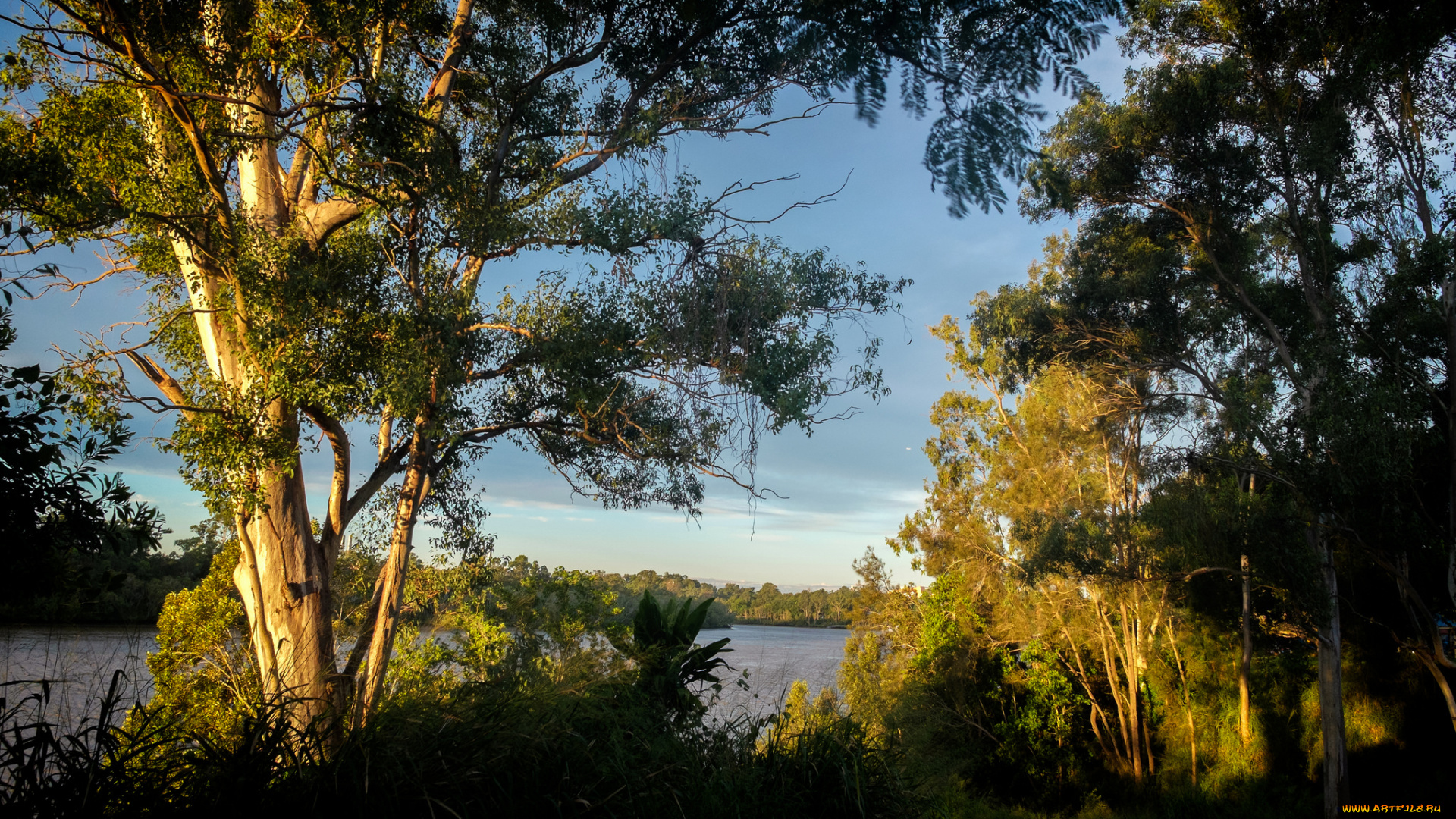 природа, реки, озера, небо, деревья