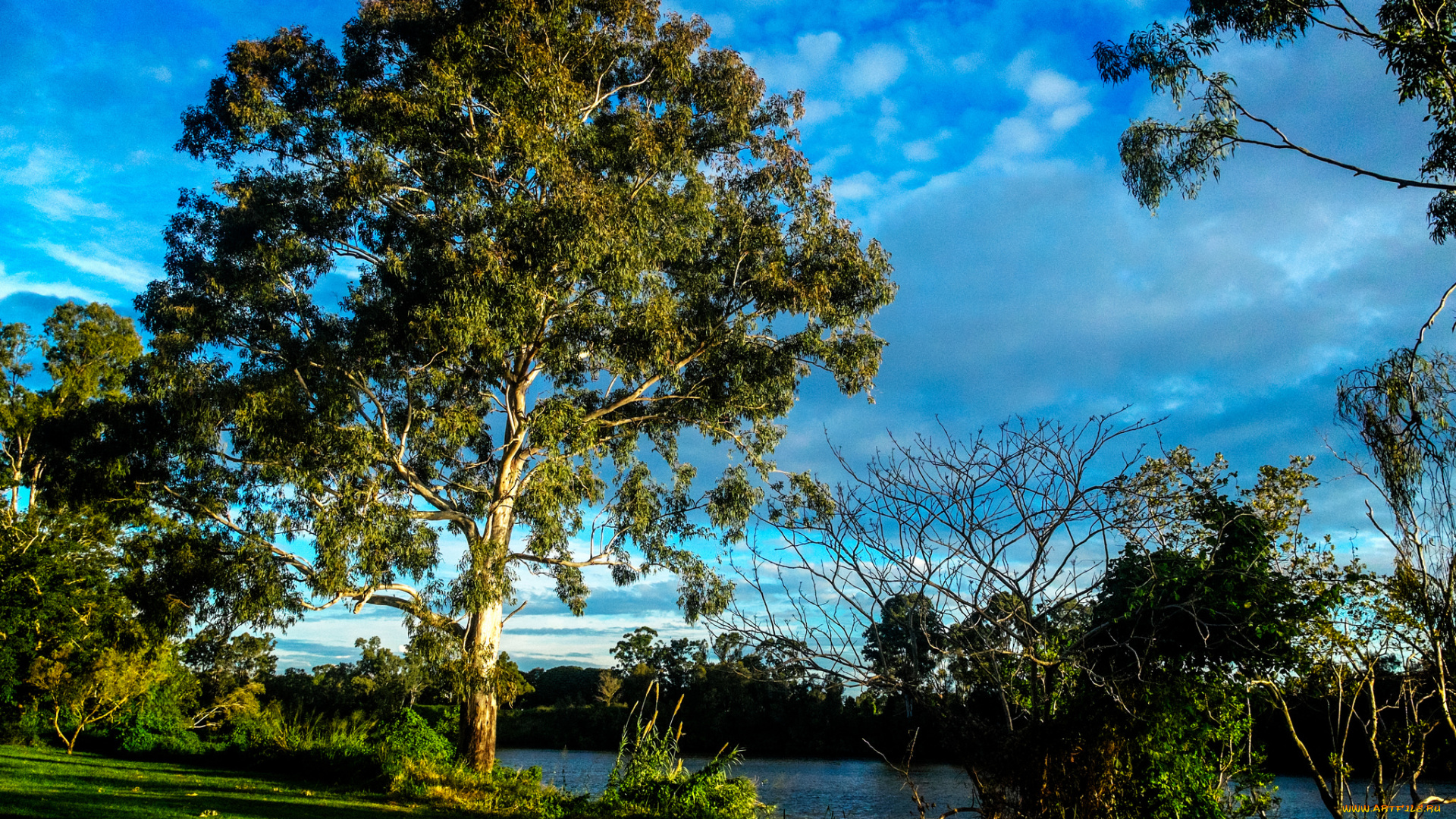 природа, реки, озера, небо, деревья